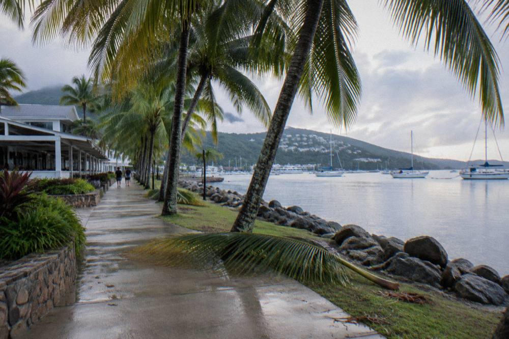 Shaded palm-lined path along the Airlie Beach foreshore with views over the water