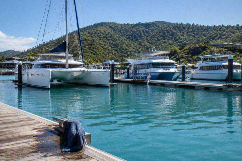 Catamaran and tour boats moored at an island marina under a clear sky